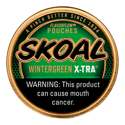 Skoal Pouches Wintergreen X-tra