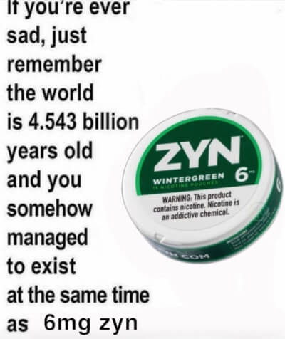 Zyn Meme exist at the same time as zyn