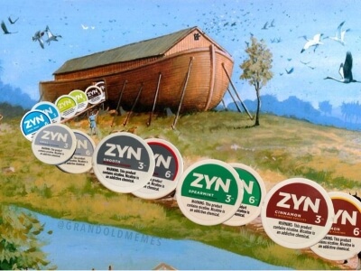 Zyn Meme Zyn Ark